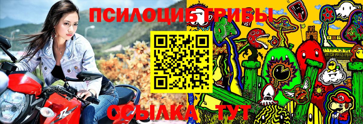 Галлюциногенные грибы прущие грибы Димитровград