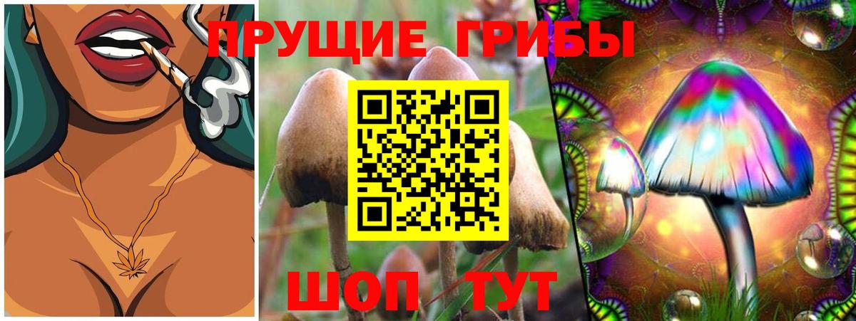 Димитровград  Псилоцибиновые грибы Psilocybe  Галлюциногенные грибы MAGIC MUSHROOMS  Вход с VPN 